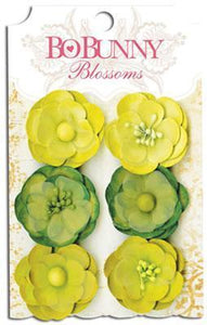 Scrapbooking  Blossoms Clover Pansy Paper Collections 12x12