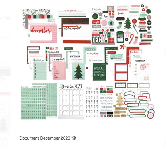 Elles Studio - Document December 2020