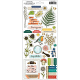 Scrapbooking  Vicki Boutin Fernwood Cardstock Stickers 6"X12" 87/Pkg Accents & Phrases stickers