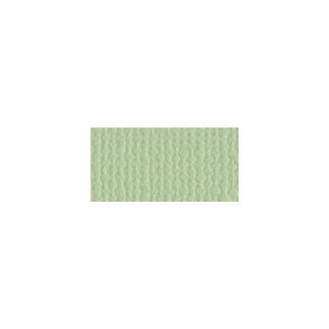 Scrapbooking  Bazzill Mono Cardstock 12"X12" Aloe Vera/Canvas Cardstock