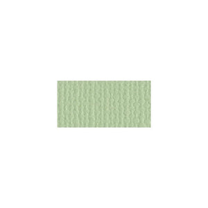 Scrapbooking  Bazzill Mono Cardstock 12"X12" Aloe Vera/Canvas Cardstock