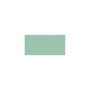 Scrapbooking  Bazzill Mono Cardstock 12"X12" Aqua/Canvas Cardstock