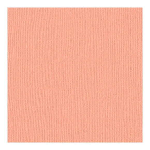 Scrapbooking  Bazzill Mono Cardstock 12