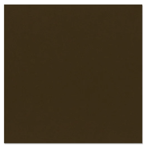 Scrapbooking  Bazzill Mono Cardstock 12"X12" Java/Canvas Cardstock