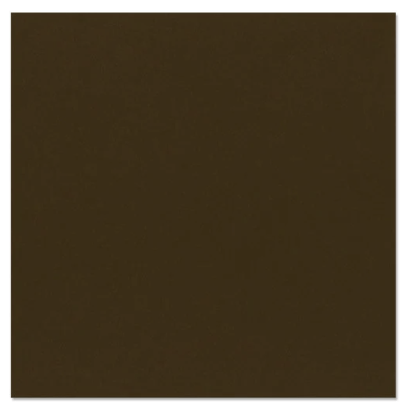 Scrapbooking  Bazzill Mono Cardstock 12