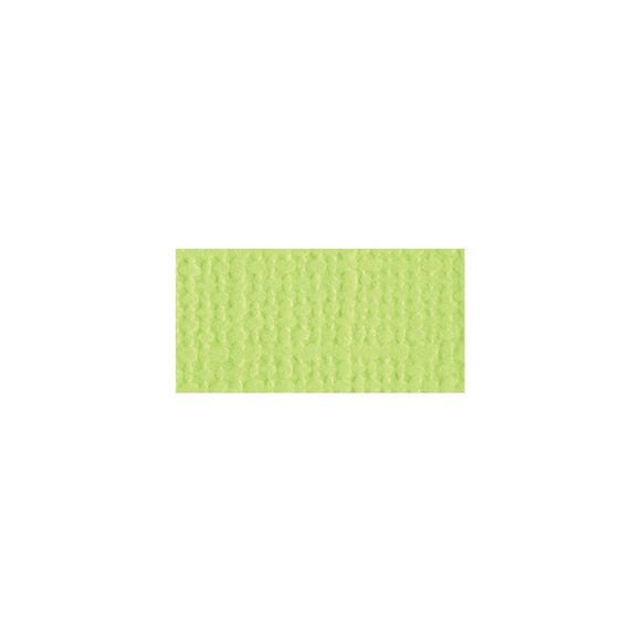 Scrapbooking  Bazzill Mono Cardstock 12