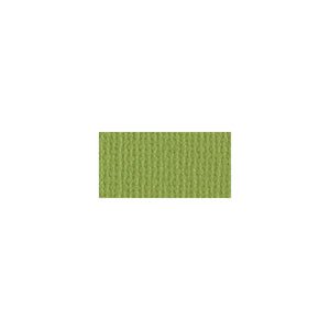 Scrapbooking  Bazzill Mono Cardstock 12"X12" Parakeet/Canvas Cardstock