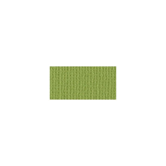 Scrapbooking  Bazzill Mono Cardstock 12