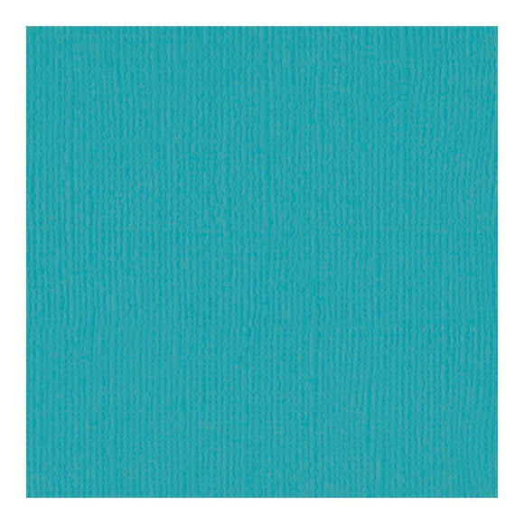 Scrapbooking  Bazzill Mono Cardstock 12
