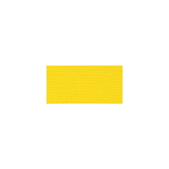 Scrapbooking  Bazzill Mono Cardstock 12