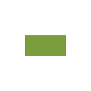 Scrapbooking  Bazzill Card Shoppe Heavyweight Cardstock 12"X12" - Easter Grass Plain Cardstock