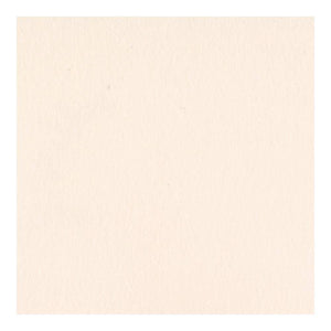 Scrapbooking  Bazzill Card Shoppe Heavyweight Cardstock 12"X12" - Pale Rose Plain Cardstock