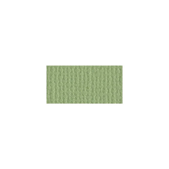 Scrapbooking  Bazzill Mono Cardstock 12