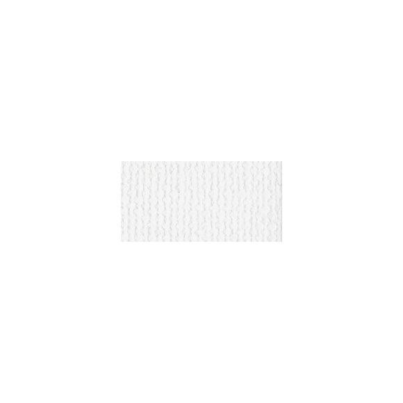 Scrapbooking  Bazzill Mono White Canvas Cardstock 8.5