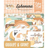 Scrapbooking  Echo Park Cardstock Ephemera 33/Pkg Icons, Our Baby Ephemera