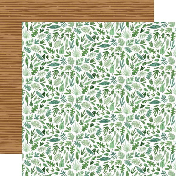 Scrapbooking  Animal Kingdom Double-Sided Cardstock 12