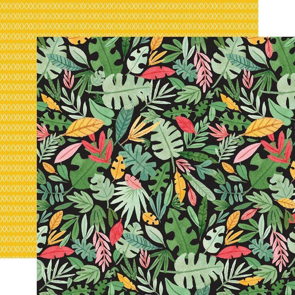 Scrapbooking  Animal Kingdom Double-Sided Cardstock 12