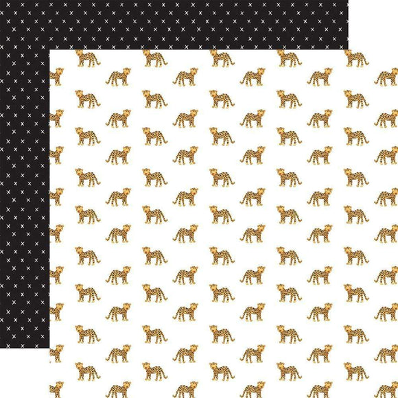 Scrapbooking  Animal Kingdom Double-Sided Cardstock 12