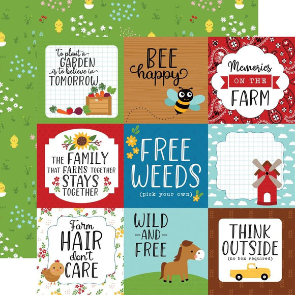 Scrapbooking  Echo Park Fun On The Farm Double-Sided Cardstock 12
