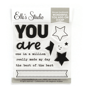 Scrapbooking  Elles Studio - Sincere Sentiments Wonderful You Add-on Stamp stamps