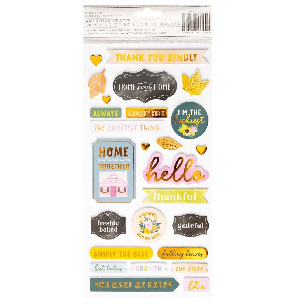 Paige Evans Garden Shoppe Thickers Stickers 49/Pkg Best Today Phrase W