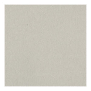 Scrapbooking  Bazzill Card Shoppe Heavyweight Cardstock 12"X12" - Alpaca cardstock