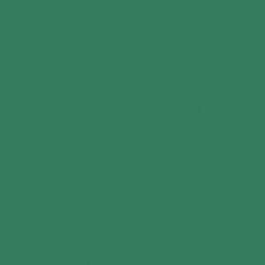 Scrapbooking  Bazzill Card Shoppe Heavyweight Cardstock 12"X12" - Evergreen cardstock