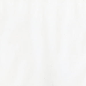 Scrapbooking  Bazzill Vellum 12"X12" White 40lb Paper 12x12