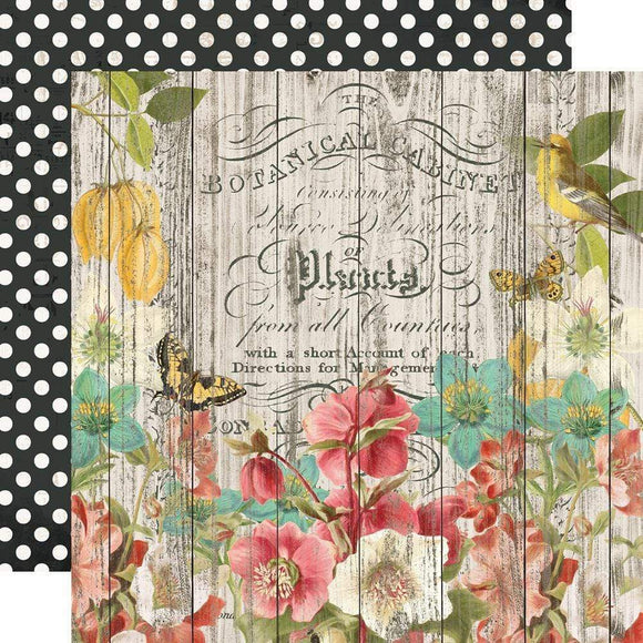 Scrapbooking  Simple Vintage Cottage Fields Double-Sided Cardstock 12