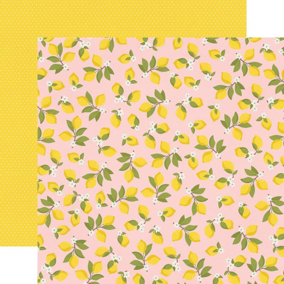 Scrapbooking  Summer Farmhouse Double-Sided Cardstock 12