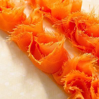 Scrapbooking  Sunday Picnic Bloomers Trim Orange 1 yd Embellishments