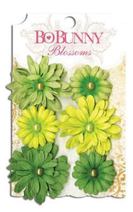Scrapbooking  Blossoms Clover Daisy Paper Collections 12x12