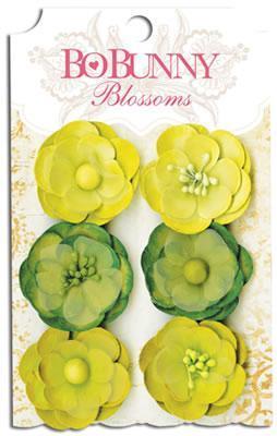 Scrapbooking  Blossoms Clover Pansy Paper Collections 12x12