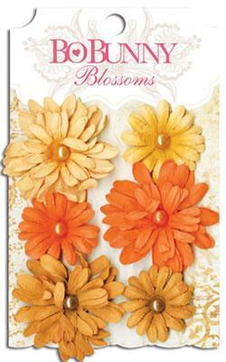 Scrapbooking  Blossoms Harvest Orange Daisy Paper Collections 12x12