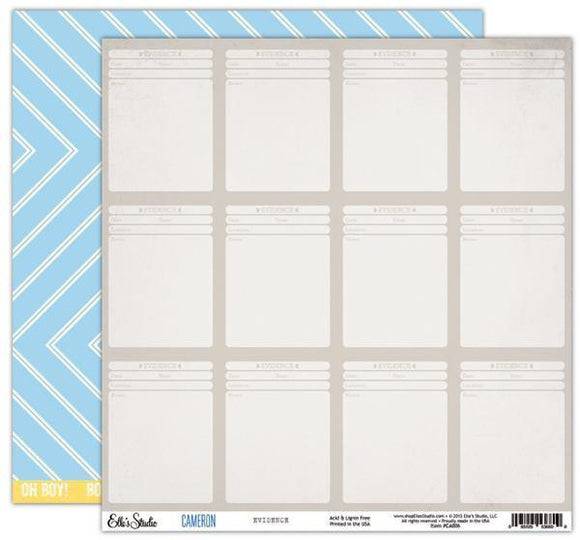Scrapbooking  Cameron Evidence Paper Paper Collections 12x12