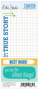 Scrapbooking  Cameron Lil Snippets Best Buds Paper Collections 12x12