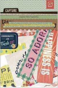 Scrapbooking  FRESH CUT Snippets 4 x 6 Paper Pad Paper Collections 12x12