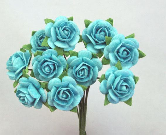 Scrapbooking  Green Tara 1.5 cm Sky Blue Roses 10pc Paper Collections 12x12