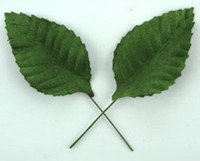 Scrapbooking  Green Tara 5cm Green Paper Leaves 10pc Paper Collections 12x12