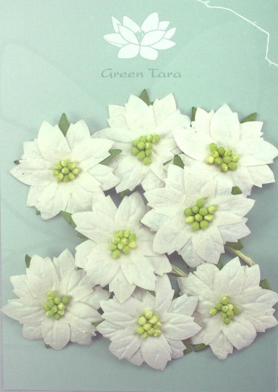 Scrapbooking  Green Tara Poinsetta White Medium Green Centres Paper Collections 12x12