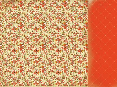 Scrapbooking  Kaisercraft In the Attic CLOSET Paper Collections 12x12