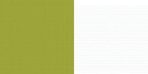 Scrapbooking  Sn@p Life Green and Elementary Paper Collections 12x12