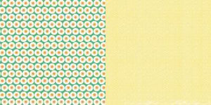 Scrapbooking  Sunday Picnic Playtime Paper Collections 12x12