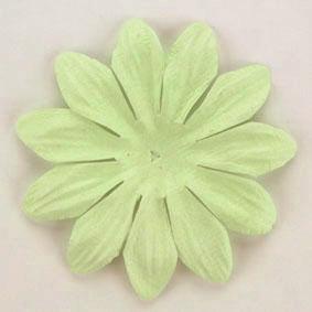 Scrapbooking  Tara Mint 6cm Flowers Paper Collections 12x12