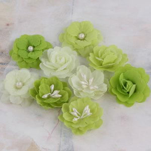 Scrapbooking  Lady Godivas Limeade 9pk Prima Marketing