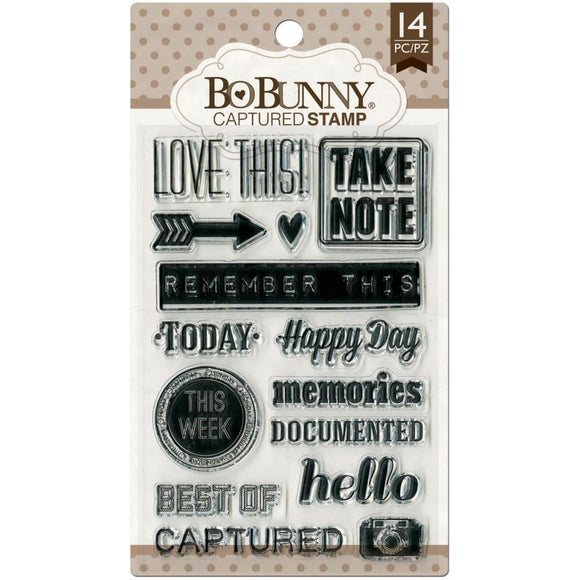 Scrapbooking  Bo Bunny Double Dots Captured Stamps Stamps