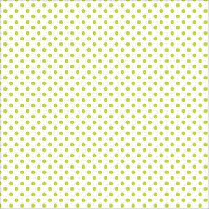 Scrapbooking  Echo Park Easter Dots Green Grass Vellum 12"X12" Paper Collections 12x12